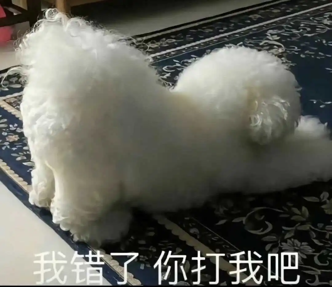 【西檬之家】新人入圈指南：BDSM核心术语解析