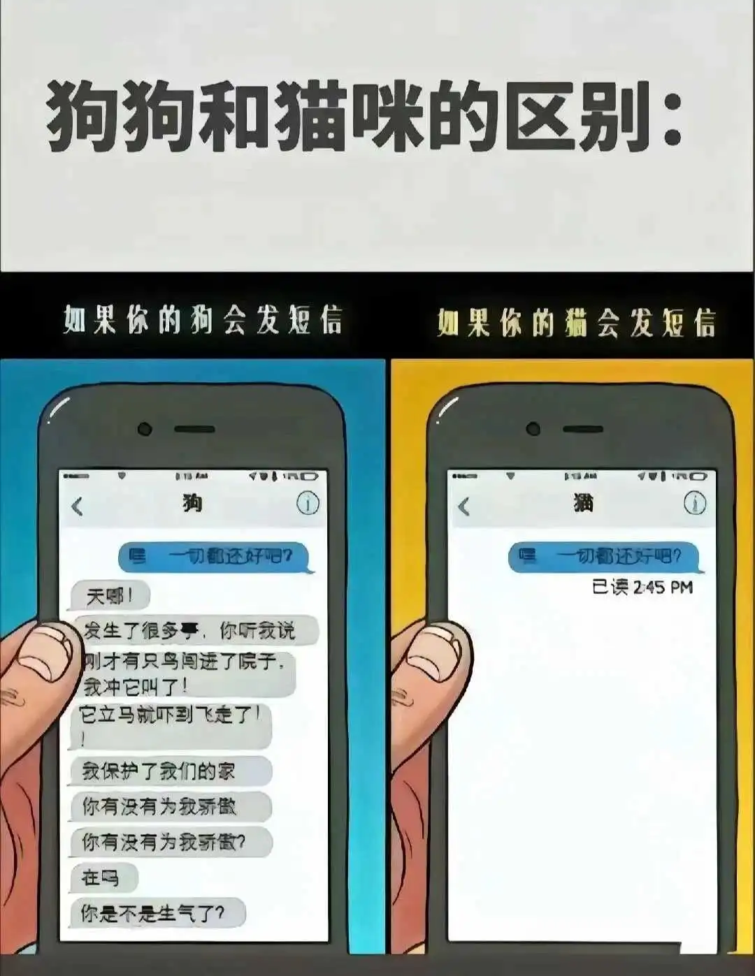 西檬之家-字母圈新人入圈指南：从基础术语到实践安全原则