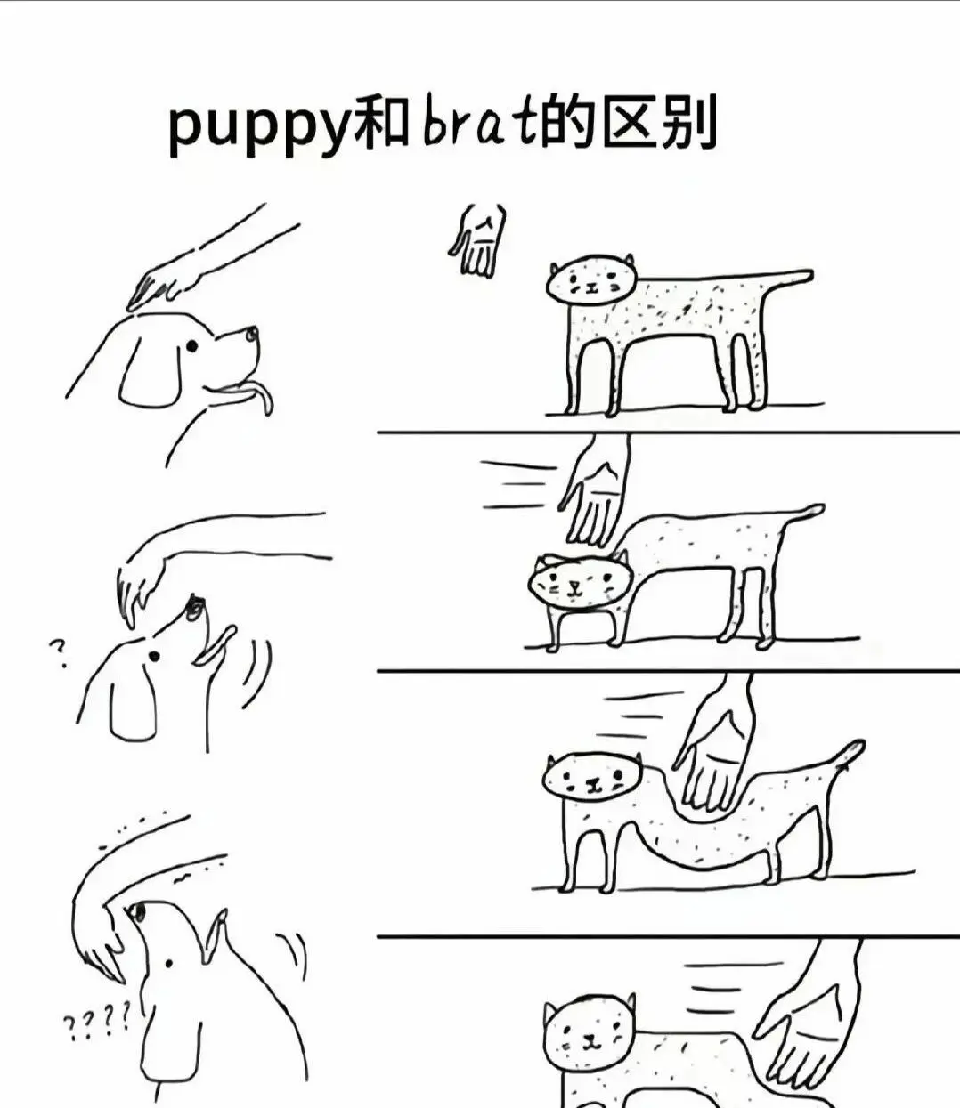 西檬之家-M是什么？你的字母圈属性是什么？