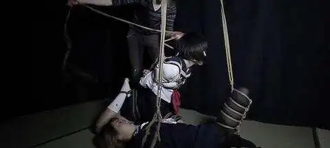 西檬之家-大圈新人入圈指南：从基础术语到安全实践