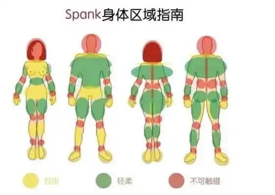 西檬之家-字母圈的BD是什么意思？